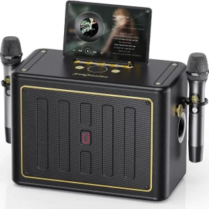 Portable Bluetooth Karaoke PA System with 2 Wireless Microphones